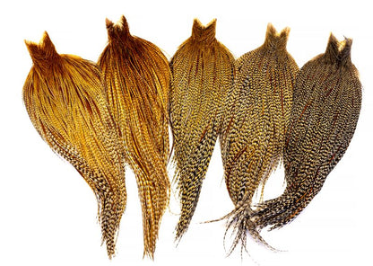 Whiting Heritage Rooster Cape â€“ dealerweb-cms-1352df09-ef88-4d64-a472-34086336a788.jpg