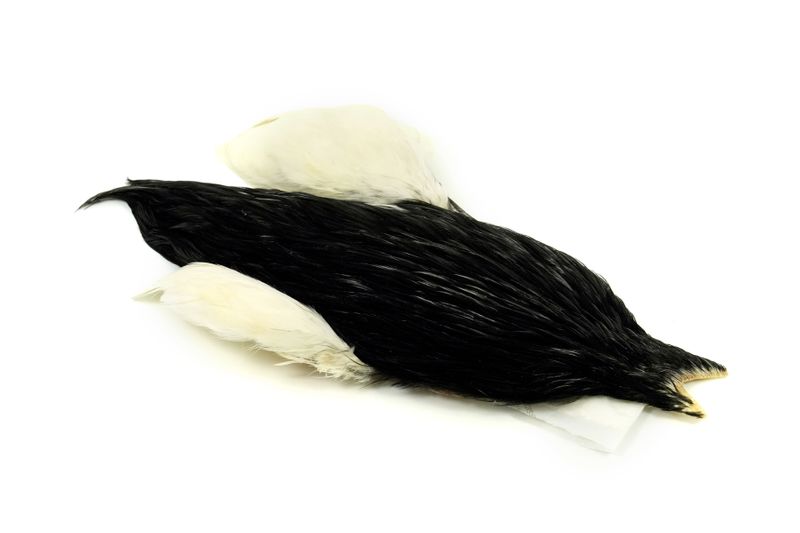 Whiting 4 B's Rooster Cape â€“ dealerweb-cms-27f70bcb-4b4d-46c2-9380-d94945356703.jpg