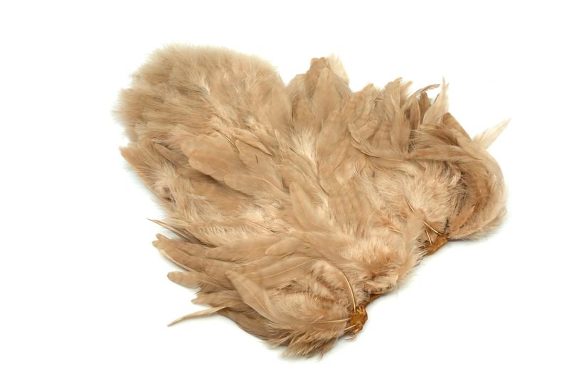 Whiting Rooster SH/C â€“ dealerweb-cms-3179f319-fd05-47f3-a21b-4ccb39464190.jpg