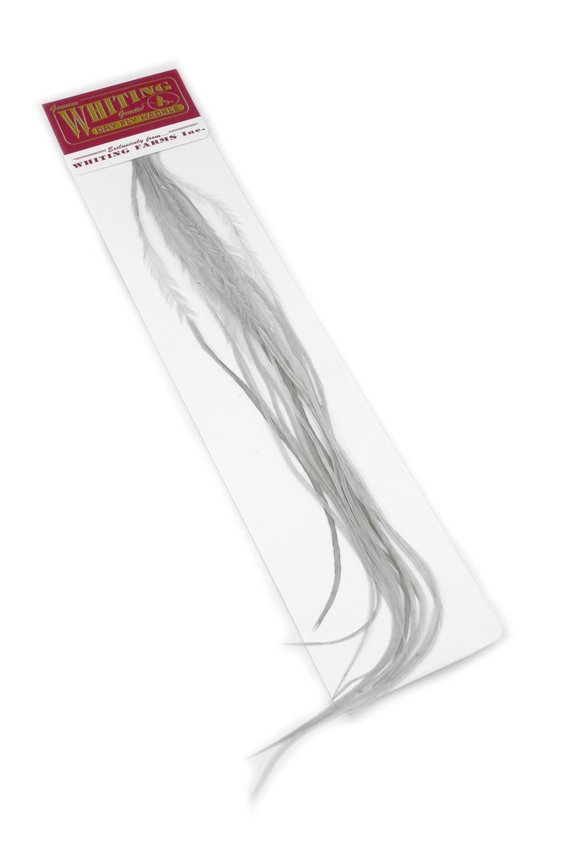 Whiting 100-pk – Size 18 â€“ dealerweb-cms-49547771-3154-486c-9970-a69f060eeba3.jpg