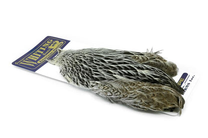 Whiting American Hen Cape â€“ dealerweb-cms-4967cd88-041a-4a35-9c28-1ff046384972.jpg
