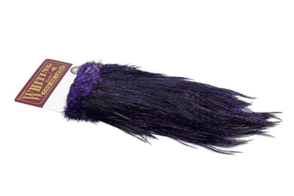 Whiting Coq de Leon Rooster Saddle – Silver â€“ dealerweb-cms-5956338f-a1f0-4c8a-8dd8-447122427284.jpg