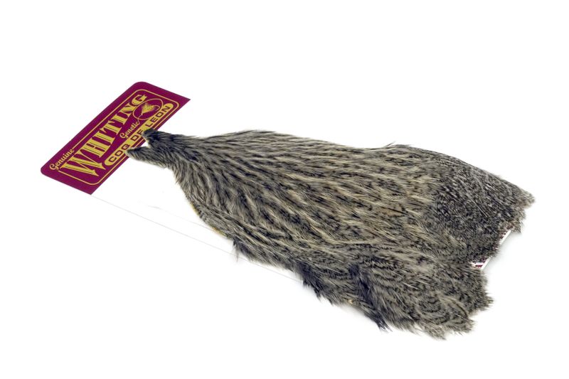 Whiting Coq de Leon Hen Cape â€“ dealerweb-cms-6231ceb7-2320-4b61-a274-cad08c1f203f.jpg