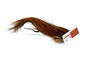 Whiting Rooster Saddle – Pro Grade â€“ dealerweb-cms-6acae4bf-c14e-4262-9902-6bf542ed18cb.jpg