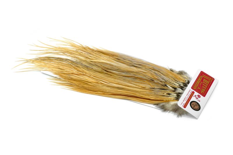 Whiting Rooster Saddle – Bronze â€“ dealerweb-cms-783d64f8-02d2-478f-a9e5-bb88c3e8b469.jpg
