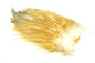 Whiting 4 B's Rooster Saddle â€“ dealerweb-cms-7c5593a5-b0fc-4840-b4fd-d9fc8f9d6b39.jpg
