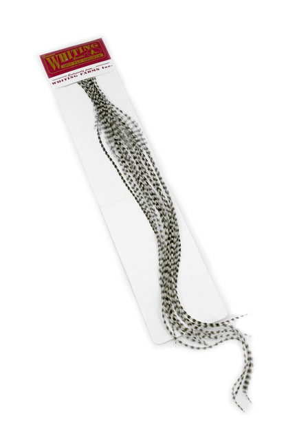 Whiting 100-pk – Size 10 â€“ dealerweb-cms-7d0f5887-a856-45d9-94fb-a7f22a2701b9.jpg