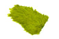 Whiting 4 B's Hen Saddle â€“ dealerweb-cms-7e208ae8-82f3-47b1-9aaf-4b7b814b4f3e.jpg