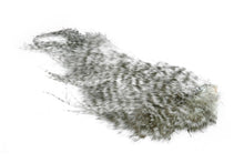 Whiting Bird Fur â€“ dealerweb-cms-8279702b-570a-49e0-b014-685ef17a1b7d.jpg