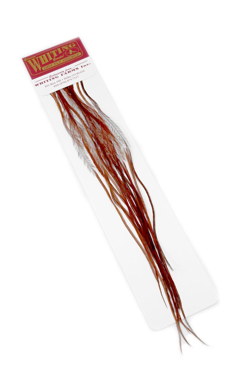 Whiting 100-pk – Size 14 â€“ dealerweb-cms-82af297a-1a45-45f6-a0fd-a22db55c8227.jpg