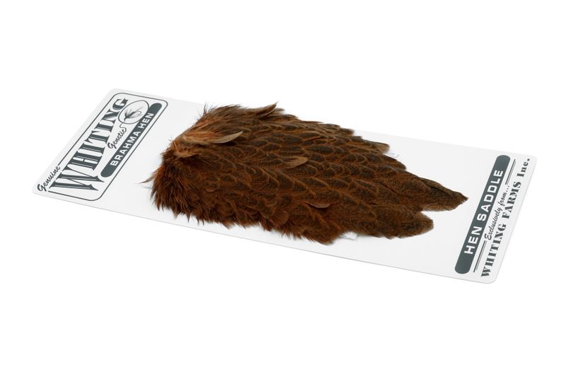 Whiting Brahma Hen Saddle â€“ dealerweb-cms-82c2d3ff-a9a4-4c68-bbd6-4626f7357688.jpg