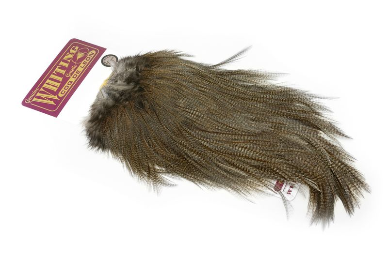 Whiting Coq de Leon Rooster Saddle – Bronze â€“ dealerweb-cms-96a50c72-3034-4386-bdb1-9854a5eb5e0f.jpg