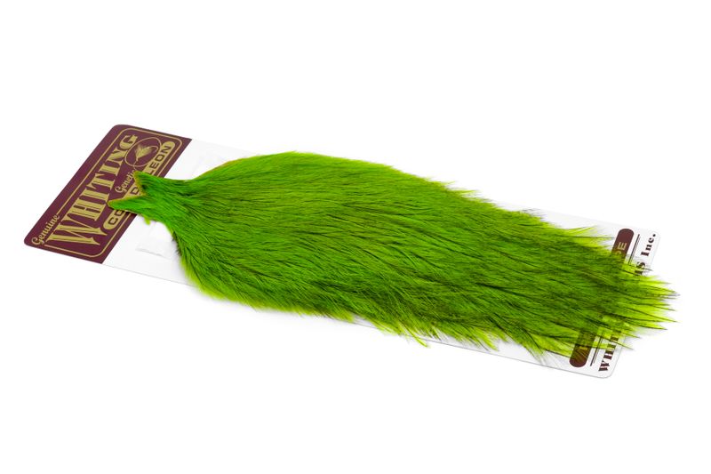 Whiting Coq de Leon Rooster Cape â€“ dealerweb-cms-a2ef880d-6b9f-4740-adc3-3c87094ab2fb.jpg