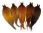 Whiting Heritage Rooster Cape â€“ dealerweb-cms-ae03ff18-1f1b-4e75-bc76-9a439f99031d.jpg