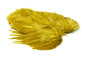 Whiting Rooster SH/C â€“ dealerweb-cms-b34f3d8c-8c6d-4bdf-ac2c-a2dde423b4da.jpg