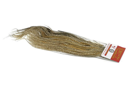 Whiting Silver 1/2 Saddle â€“ dealerweb-cms-b6226722-aa74-4b90-b526-973709c56e96.jpg