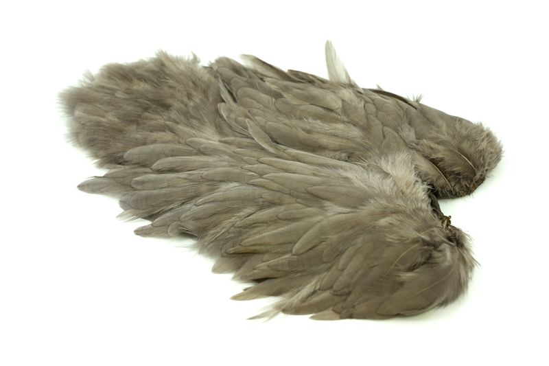 Whiting Rooster SH/C â€“ dealerweb-cms-cf546bba-30cd-42dd-9e2c-c446bae81234.jpg