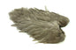 Whiting Rooster SH/C â€“ dealerweb-cms-cf546bba-30cd-42dd-9e2c-c446bae81234.jpg