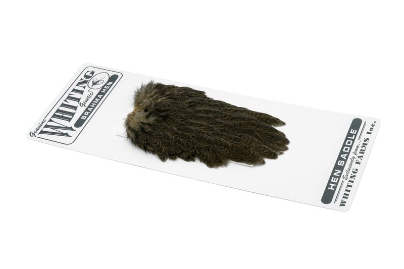 Whiting Brahma Hen Saddle â€“ dealerweb-cms-d47b9f65-a97a-49db-b992-724dea7b3fdf.jpg