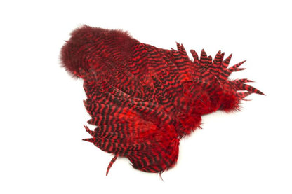 Whiting Rooster SH/C â€“ dealerweb-cms-daa43209-40dd-43ff-812b-d374e17226fe.jpg