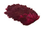 Whiting 4 B's Hen Saddle â€“ dealerweb-cms-e5b2f54d-5e2a-47f0-8b65-fa5c0cf25bf6.jpg