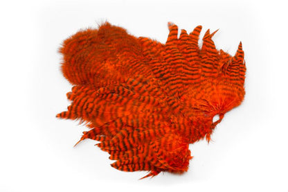 Whiting Rooster SH/C â€“ dealerweb-cms-eef50c21-a709-40f1-8363-fcd0b150a044.jpg
