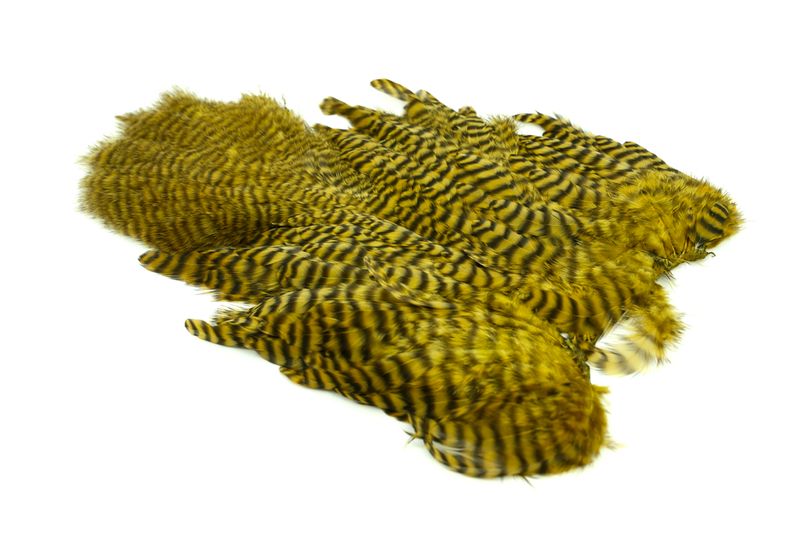 Whiting Rooster SH/C â€“ dealerweb-cms-f332cf55-a94d-4bf9-a05c-5e018324bcb1.jpg