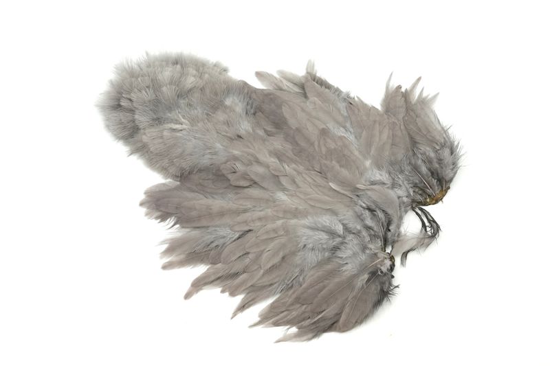 Whiting Rooster SH/C â€“ dealerweb-cms-fe401310-7541-4e4f-8087-003bed34863a.jpg
