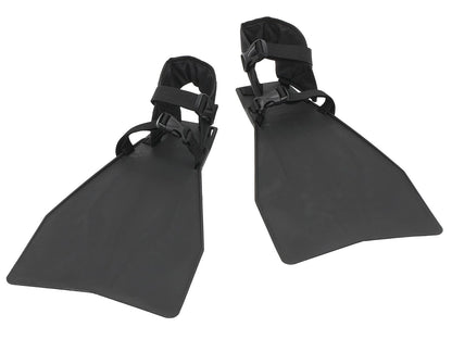 g292_2_large.jpg