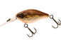 p310-1335-308.jpg