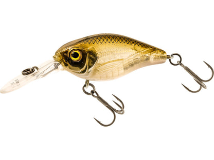 p307-1164-305.jpg