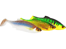 p013_ricky-the-roach-shadtail_headline_large.jpg