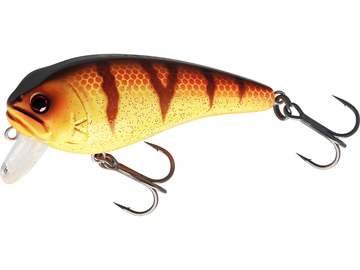 p047-1032-002_large.jpg