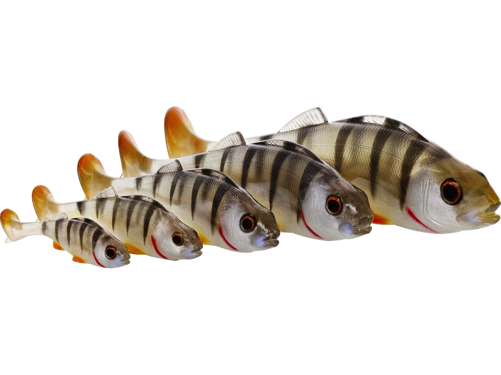 p084_original-perch-shadtail_headline_large.jpg