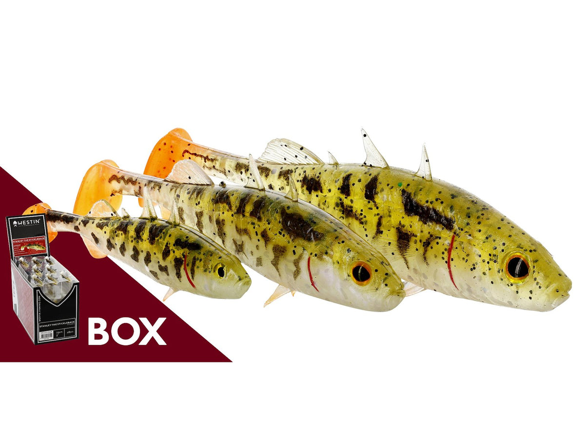 p117_stanley-the-stickleback_large.jpg