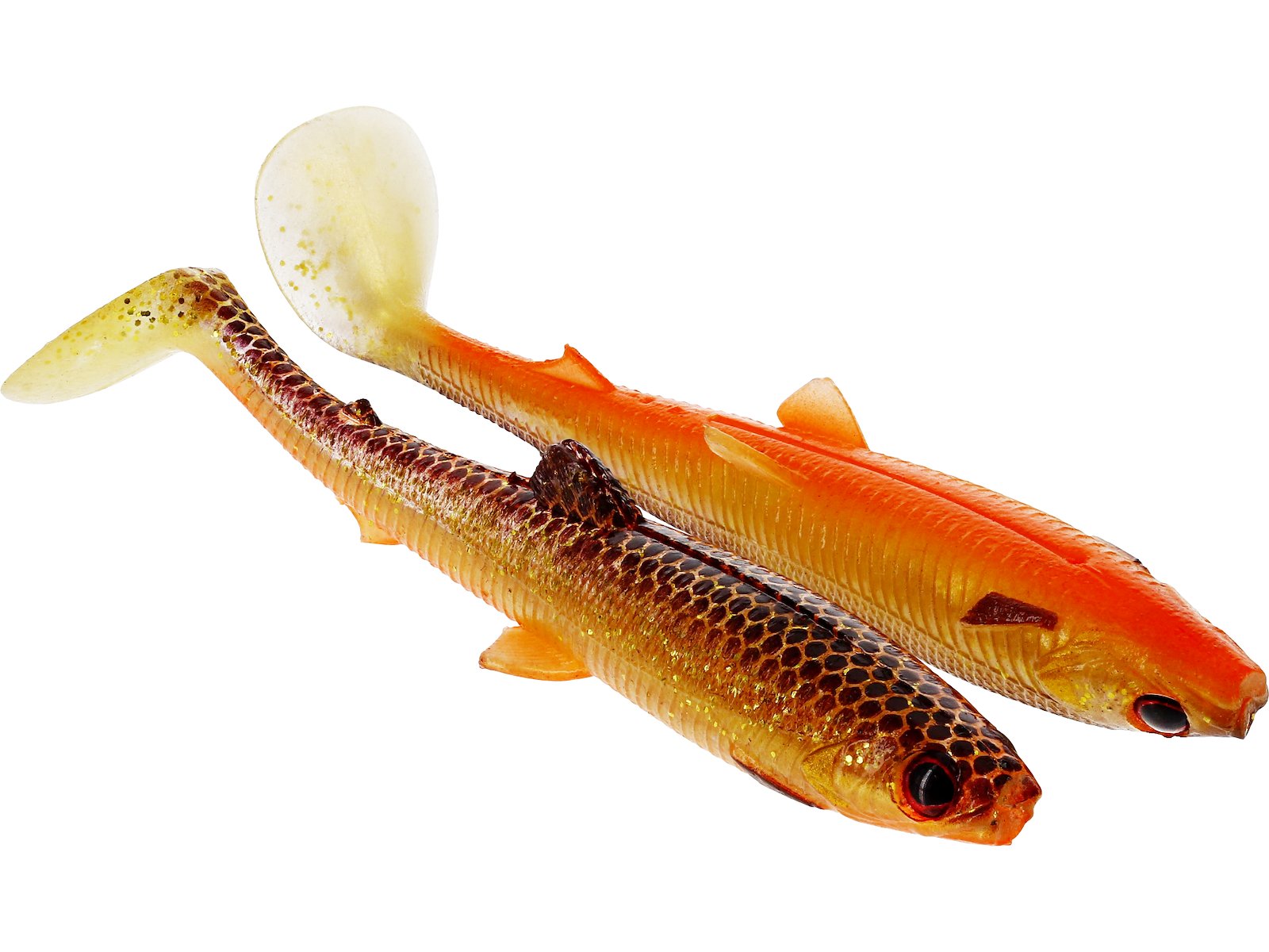 p143_f1_large.jpg