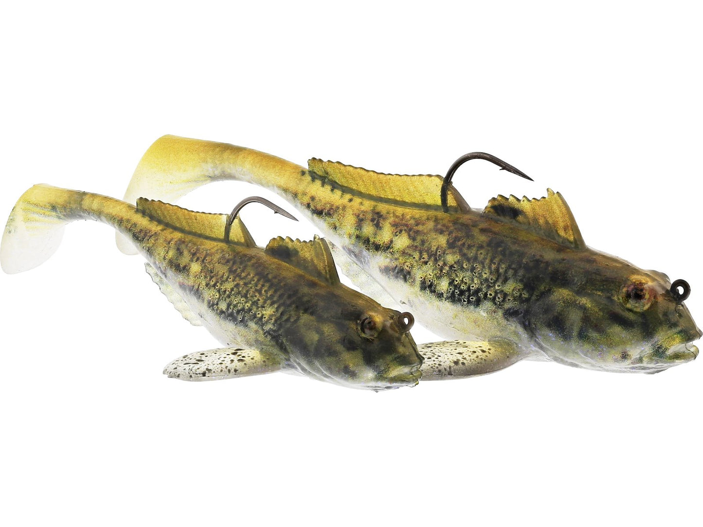 p242_gunnar-the-goby-r2f_headline_large.jpg