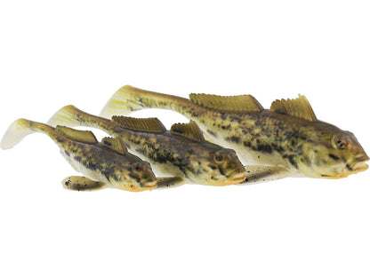 p244_gunnar-the-goby_headline_large.jpg
