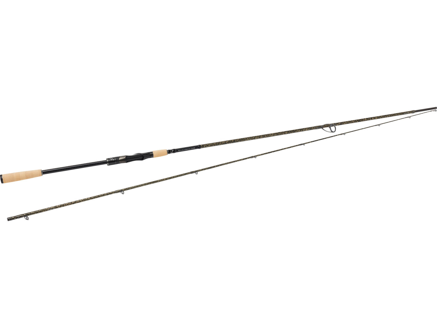 w834_sbass_headline_large.jpg